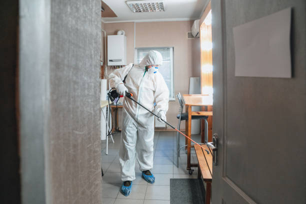 Best Mold Prevention Services  in Shakopee, MN